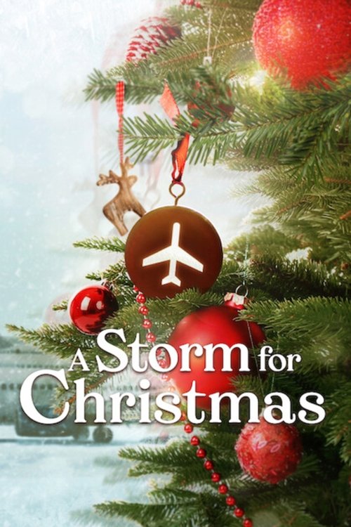 A Storm for Christmas : 1.Sezon 3.Bölüm