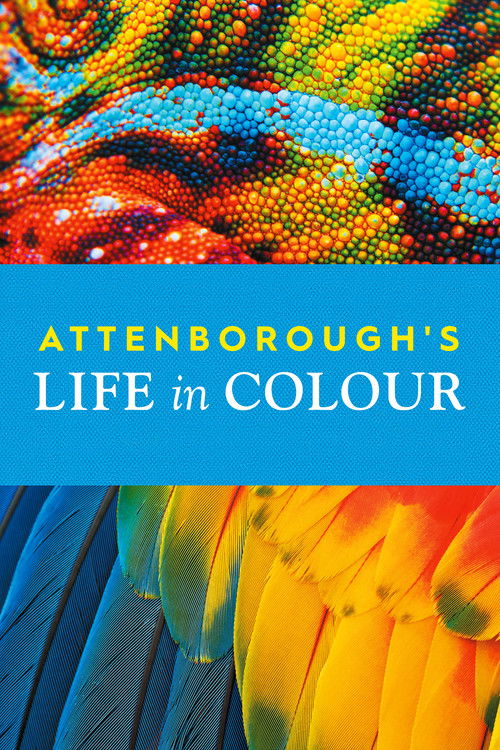 Attenborough’s Life in Colour : 1.Sezon 2.Bölüm