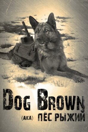 عشان خارجين izle (2016)