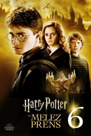 Harry Potter ve Melez Prens izle (2009)