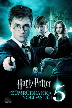 Harry Potter ve Zümrüdüanka Yoldaşlığı izle (2007)