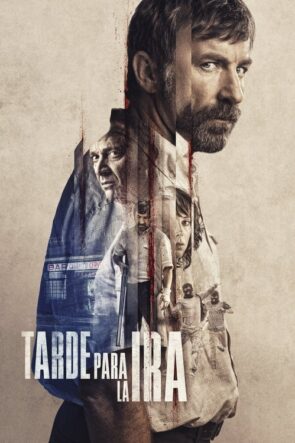 Sabırlı Bir Adamın Öfkesi izle (2016)