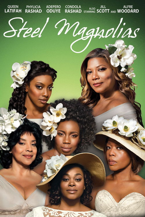 Steel Magnolias izle (2012)