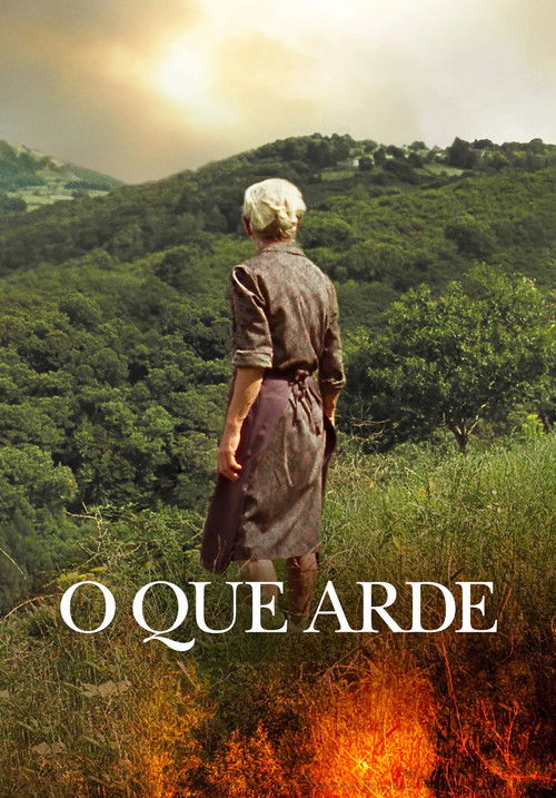 Yangın Yeri izle (2019)