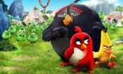 Angry Birds Film izle (2016)