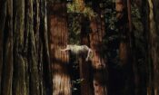 Woodshock izle (2017)
