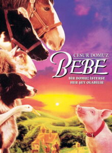 Cesur Domuz Bebe izle (1995) izle